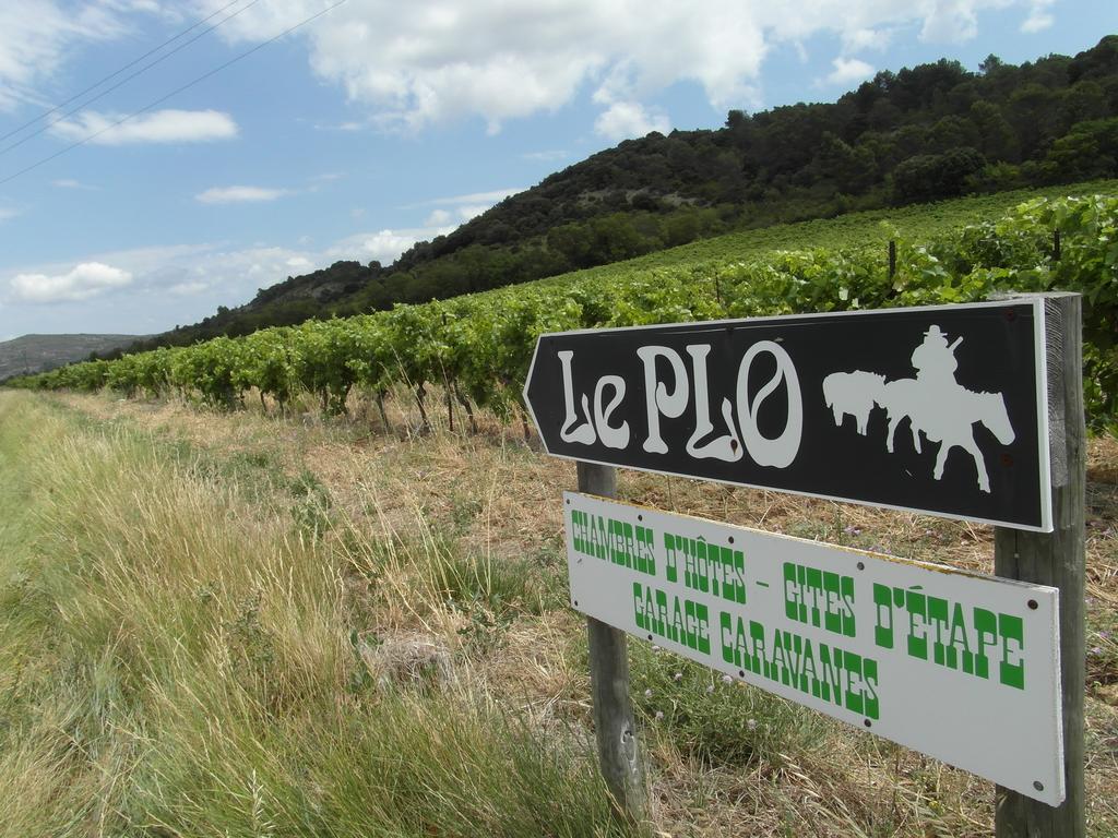 Bergerie Du Plo Montlaur (Aude) Exterior foto