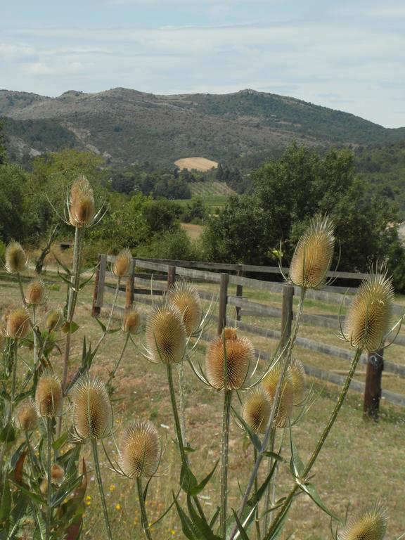 Bergerie Du Plo Montlaur (Aude) Exterior foto