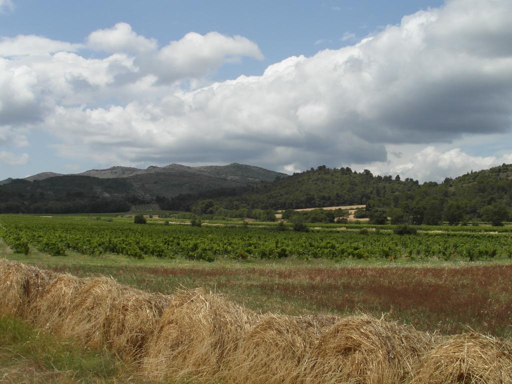 Bergerie Du Plo Montlaur (Aude) Exterior foto